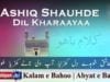 Aashiq Shauhde Dil Kharaayaa
