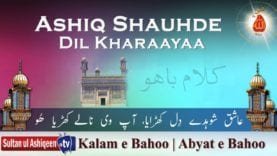 Aashiq Shauhde Dil Kharaayaa