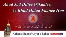 Ahad Jad Ditti Wikhali