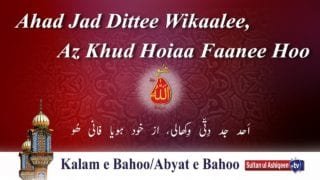 Ahad Jad Ditti Wikhali