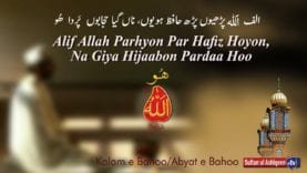Allah Parhion Parh Hafiz Hoyon