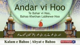 Andar vi Hoo Te Bahar vi Hoo,  Bahoo Khethan Labhewe Hoo (21)