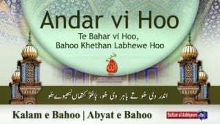 Andar vi Hoo Te Bahar vi Hoo,  Bahoo Khethan Labhewe Hoo (21)