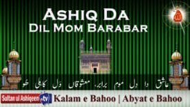 Ashiq Da Dil Mom Barabar