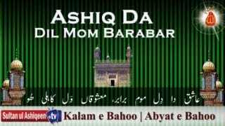 Ashiq Da Dil Mom Barabar