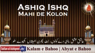 Ashiq Ishq Mahi de Kolon