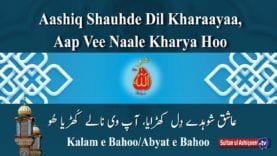 Ashiq Shodee Dil Kharyaa