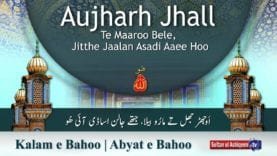 Aujharh Jhall Te Maaroo Bele