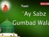 Ay sabz Gumbad wale manzoor dua karna