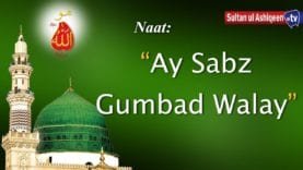 Ay sabz Gumbad wale manzoor dua karna