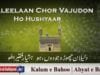 Daleelaan Chor Vajudon, Ho Hushyaar Faqeera Hoo | (92/201)