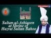 Darbar Hazrat Sultan Bahoo Par Sultan Mohammad Najib ur Rehman Sahab ki Hazri