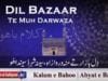 Dil Bazaar Te Muh Darwaza | (93/201)