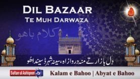 Dil Bazaar Te Muh Darwaza | (93/201)