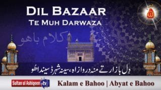 Dil Bazaar Te Muh Darwaza | (93/201)