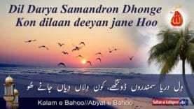 Dil Darya Samandron Dhonge Kon dilaan deeyan jane Hoo