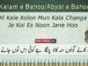 Dil Kale Kolon Mun Kala Changa Je Koi Es Noon Jane Hoo