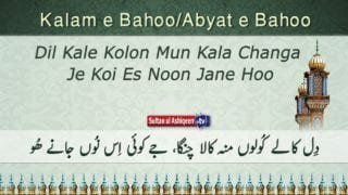 Dil Kale Kolon Mun Kala Changa Je Koi Es Noon Jane Hoo