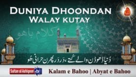 Duniya Dhoondan Walay kutay | (89/201)