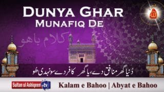 Dunya Ghar Munafiq De | (88/201)