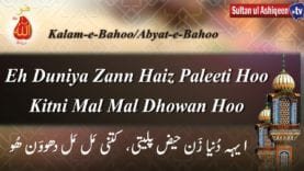 Eh Dunya Zaan Hazee Paletee Kitne Mal Mal Dhowan Hoo