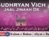 Gudhryan Vich Jaal Jinaah De