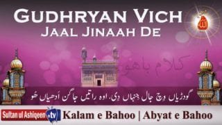 Gudhryan Vich Jaal Jinaah De