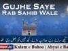 Gujhe Saye Rab Sahib Wale