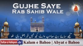 Gujhe Saye Rab Sahib Wale