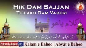 Hik Jaagan Hik Jaag Na Jaanan