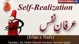 Irfan e Nafs