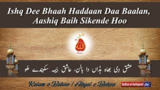 Ishq Dee Bhaa Haddan Da Baalan