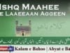 Ishq Maahee De Laaeeaan Aggeen