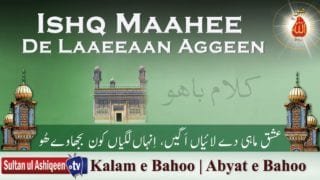 Ishq Maahee De Laaeeaan Aggeen