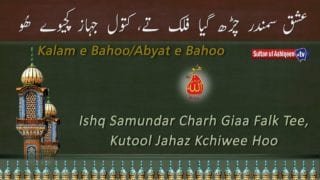 Ishq Samundar char gaya Falak Tee