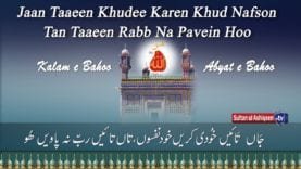 Jaan jaan Zaat Na Theewee