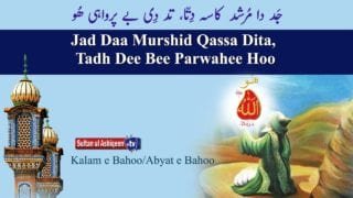 Jad daa murshid Qasa Ditta