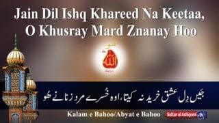 Jain Dil Ishq Khareed Nah Keetaa