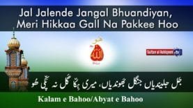 Jal Jalendyaan Jungle Bhondyaan