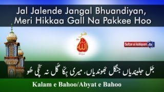 Jal Jalendyaan Jungle Bhondyaan