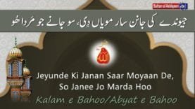 Jeunday kee janann Saar Moayaan de