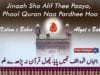 Jinna Shoo Alif Theen Paaya