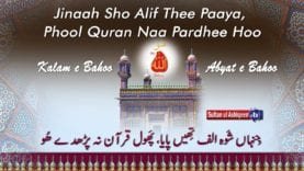 Jinna Shoo Alif Theen Paaya