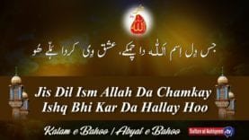 Jis Dil Ism Allah Da Chamkay Ishq Bhi Kar Da Hallay Hoo