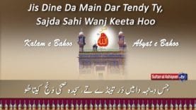 Jis Dinna Da Mein Dar Teede Te