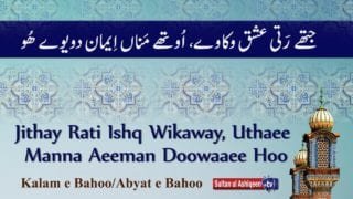 Jitte Ratti Ishq wikawee