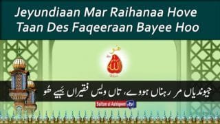Jundayaan Mar Rayaan Howee