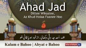 Kalam e Bahoo | Ahad jad dittee wikaalee