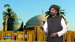 Kalam e Bahoo | Baghdaad Sharif Wanj Karahan | (25/201)