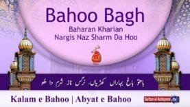 Kalam e Bahoo | Bahoo Bagh Baharan Kharian